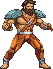 Branok